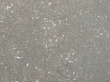 Load image into Gallery viewer, CHATEAU GREEN FOSSIL LIMESTONE SLAB
