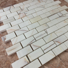 Load image into Gallery viewer, ROSETTE DOLOMITE MINI BRICKBOND HONED MOSAIC
