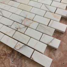 Load image into Gallery viewer, ROSETTE DOLOMITE MINI BRICKBOND HONED MOSAIC

